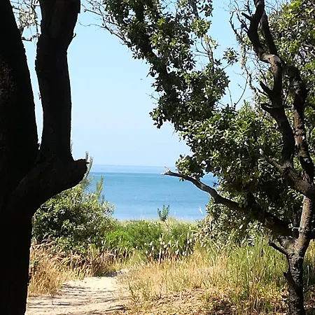 Petite Maison Agreable A 300 M De La Dolus-d'Oleron